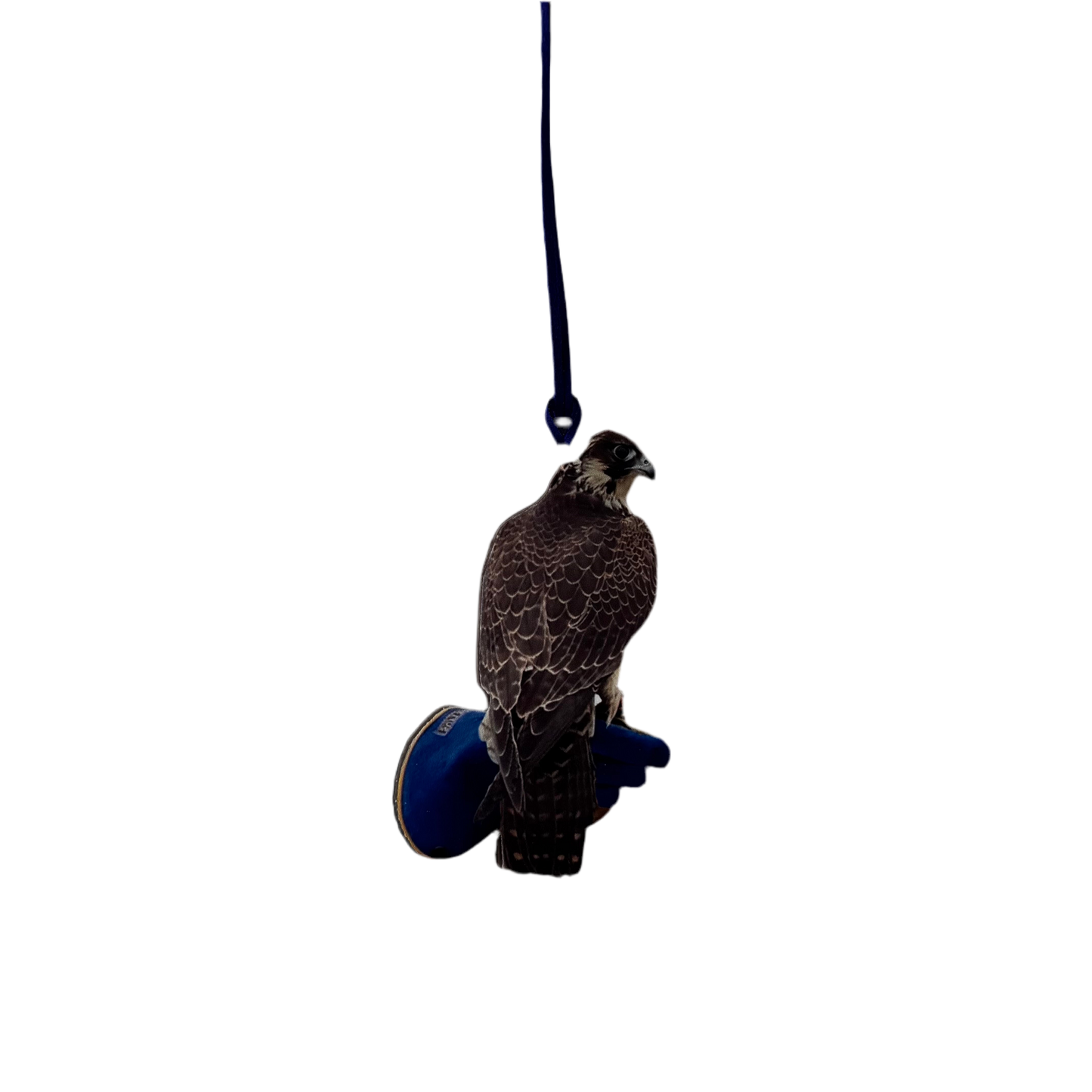 Charms